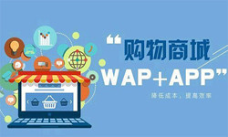手机商城app乐竞体育·（中国）官方网站流程-北京乐竞体育·（中国）官方网站外包公司