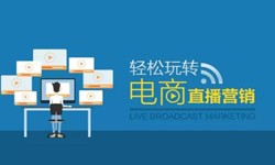乐竞体育·（中国）官方网站公司、做一个直播系统乐竞体育·（中国）官方网站需要多少钱-北京软件外包公司
