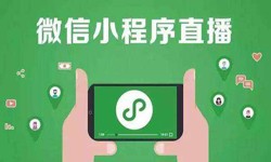 微信小程序开发、直播小程序开发-乐竞体育·（中国）官方网站乐竞体育·（中国）官方网站公司 