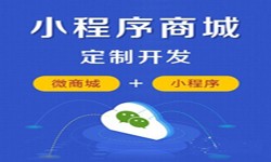微信小程序开发、商城小程序开发功能-乐竞体育·（中国）官方网站乐竞体育·（中国）官方网站